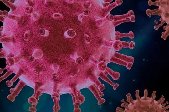 Serve-to-Field of commercial Canceled: The Fresh Piece of IT Spending